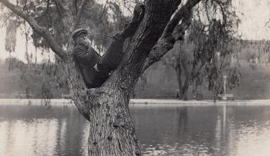 Photography by J.T. Sata